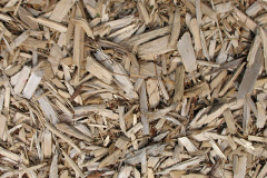 biomass boilers Little Hay